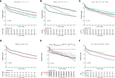 Development and validation of a population-based prognostic nomogram for primary colorectal lymphoma patients